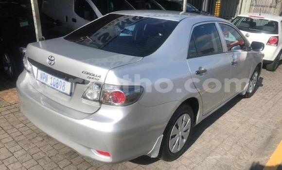 اشتري مستعمل Toyota Corolla Silver سيارة في Maputsoa في Leribe اشتري مستعمل Toyota Corolla Silver سيارة في Maputsoa في Leribe