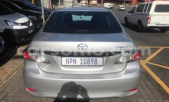 اشتري مستعمل Toyota Corolla Silver سيارة في Maputsoa في Leribe اشتري مستعمل Toyota Corolla Silver سيارة في Maputsoa في Leribe