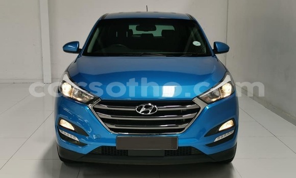 Sayi Na hannu Hyundai Tucson Blue Mota in Maseru a Maseru Sayi Na hannu Hyundai Tucson Blue Mota in Maseru a Maseru