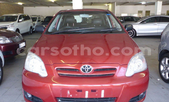 Buy Used Toyota Runx Red Car in Maseru in Maseru Buy Used Toyota Runx Red Car in Maseru in Maseru