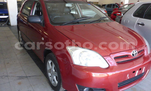 Buy Used Toyota Runx Red Car in Maseru in Maseru Buy Used Toyota Runx Red Car in Maseru in Maseru