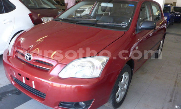 Buy Used Toyota Runx Red Car in Maseru in Maseru Buy Used Toyota Runx Red Car in Maseru in Maseru