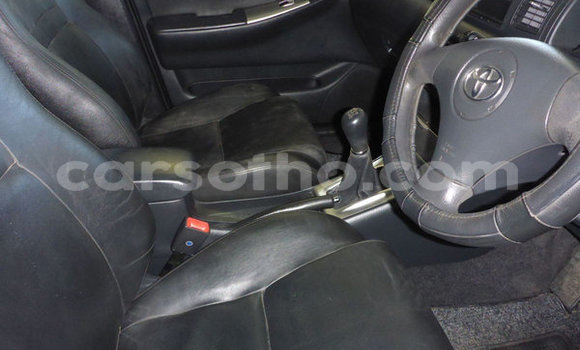 Buy Used Toyota Runx Red Car in Maseru in Maseru Buy Used Toyota Runx Red Car in Maseru in Maseru