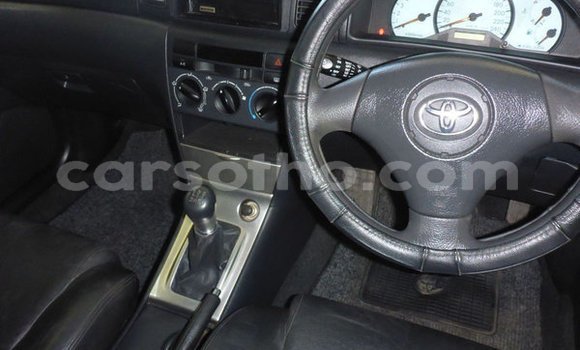 Buy Used Toyota Runx Red Car in Maseru in Maseru Buy Used Toyota Runx Red Car in Maseru in Maseru