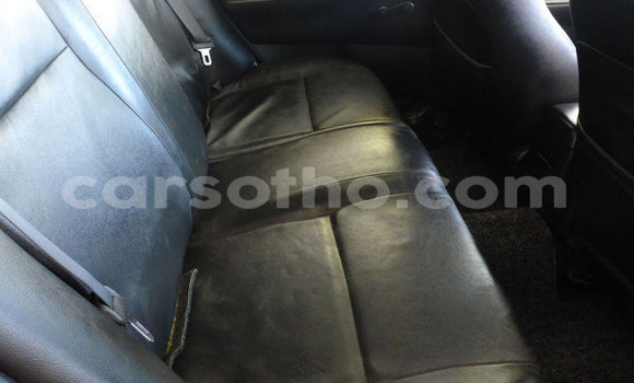 Buy Used Toyota Runx Red Car in Maseru in Maseru Buy Used Toyota Runx Red Car in Maseru in Maseru