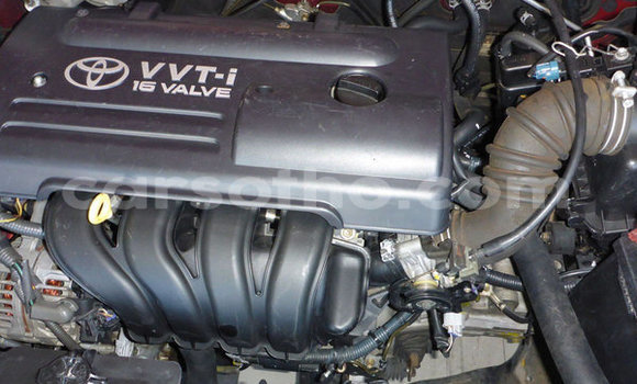 Buy Used Toyota Runx Red Car in Maseru in Maseru Buy Used Toyota Runx Red Car in Maseru in Maseru