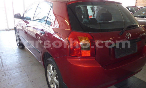 Buy Used Toyota Runx Red Car in Maseru in Maseru Buy Used Toyota Runx Red Car in Maseru in Maseru