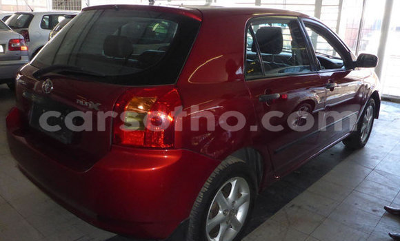 Buy Used Toyota Runx Red Car in Maseru in Maseru Buy Used Toyota Runx Red Car in Maseru in Maseru