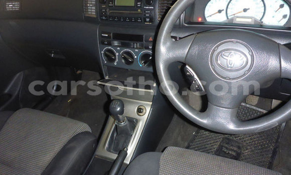 اشتري مستعمل Toyota Runx Other سيارة في Maseru في Maseru اشتري مستعمل Toyota Runx Other سيارة في Maseru في Maseru