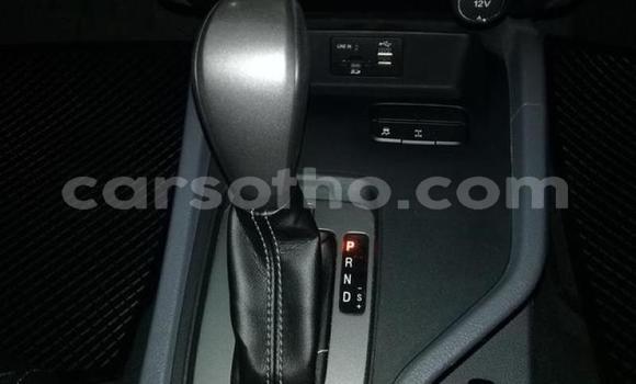 اشتري مستعمل Ford Ranger Blue سيارة في Maseru في Maseru اشتري مستعمل Ford Ranger Blue سيارة في Maseru في Maseru