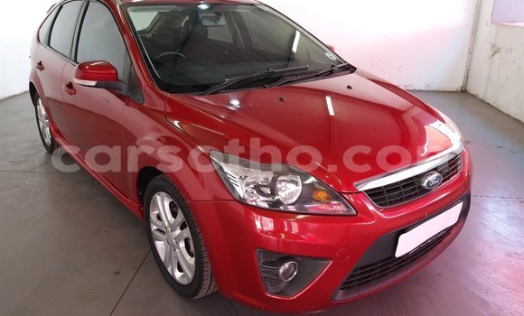 اشتري مستعمل Ford Focus Red سيارة في Maseru في Maseru اشتري مستعمل Ford Focus Red سيارة في Maseru في Maseru