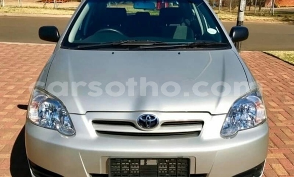 اشتري مستعمل Toyota Vitz Silver سيارة في Mafeteng في Mafeteng اشتري مستعمل Toyota Vitz Silver سيارة في Mafeteng في Mafeteng