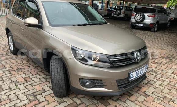 Buy Used Volkswagen Tiguan Brown Car in Hlotse in Leribe Buy Used Volkswagen Tiguan Brown Car in Hlotse in Leribe