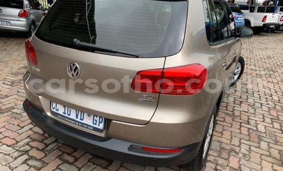 Buy Used Volkswagen Tiguan Brown Car in Hlotse in Leribe Buy Used Volkswagen Tiguan Brown Car in Hlotse in Leribe