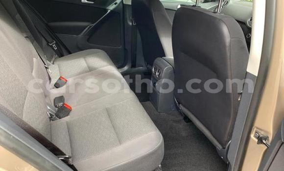 Buy Used Volkswagen Tiguan Brown Car in Hlotse in Leribe Buy Used Volkswagen Tiguan Brown Car in Hlotse in Leribe