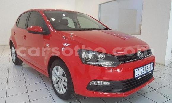 Acheter Occasion Voiture Volkswagen Polo Rouge à Hlotse, Leribe Acheter Occasion Voiture Volkswagen Polo Rouge à Hlotse, Leribe
