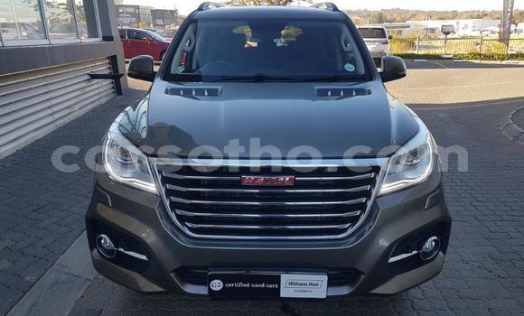 اشتري مستعمل Haval H9 Brown سيارة في Maputsoe في Leribe اشتري مستعمل Haval H9 Brown سيارة في Maputsoe في Leribe
