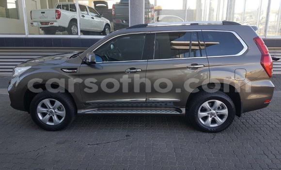 اشتري مستعمل Haval H9 Brown سيارة في Maputsoe في Leribe اشتري مستعمل Haval H9 Brown سيارة في Maputsoe في Leribe