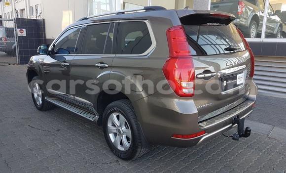 اشتري مستعمل Haval H9 Brown سيارة في Maputsoe في Leribe اشتري مستعمل Haval H9 Brown سيارة في Maputsoe في Leribe