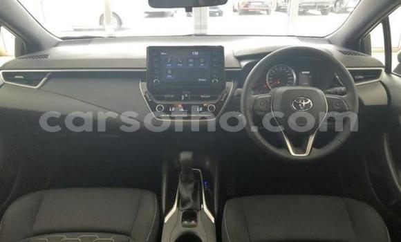 اشتري مستعمل Toyota Corolla White سيارة في Maseru في Maseru اشتري مستعمل Toyota Corolla White سيارة في Maseru في Maseru