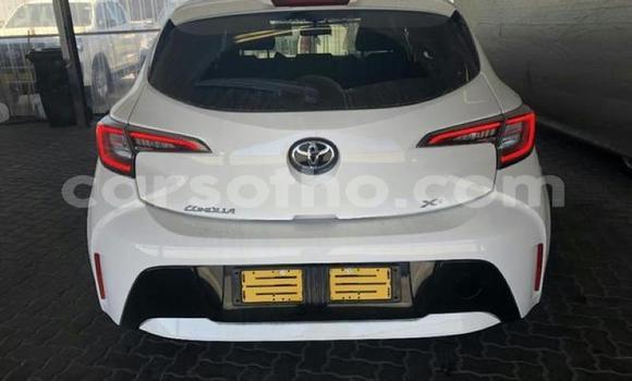 اشتري مستعمل Toyota Corolla White سيارة في Maseru في Maseru اشتري مستعمل Toyota Corolla White سيارة في Maseru في Maseru