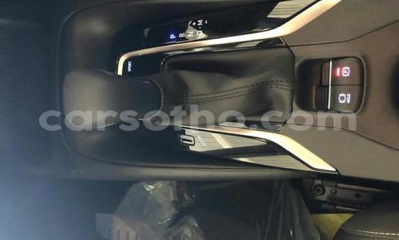 اشتري مستعمل Toyota Corolla White سيارة في Maseru في Maseru اشتري مستعمل Toyota Corolla White سيارة في Maseru في Maseru