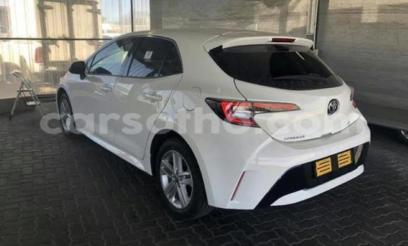 اشتري مستعمل Toyota Corolla White سيارة في Maseru في Maseru اشتري مستعمل Toyota Corolla White سيارة في Maseru في Maseru