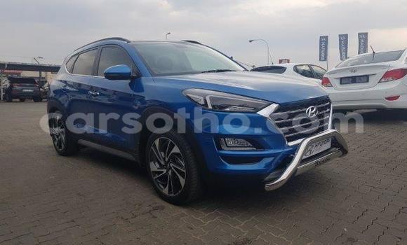 اشتري مستعمل Hyundai Tuscani Blue سيارة في Maseru في Maseru اشتري مستعمل Hyundai Tuscani Blue سيارة في Maseru في Maseru