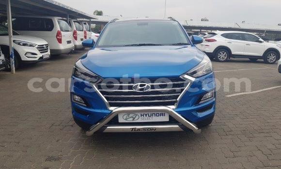 اشتري مستعمل Hyundai Tuscani Blue سيارة في Maseru في Maseru اشتري مستعمل Hyundai Tuscani Blue سيارة في Maseru في Maseru