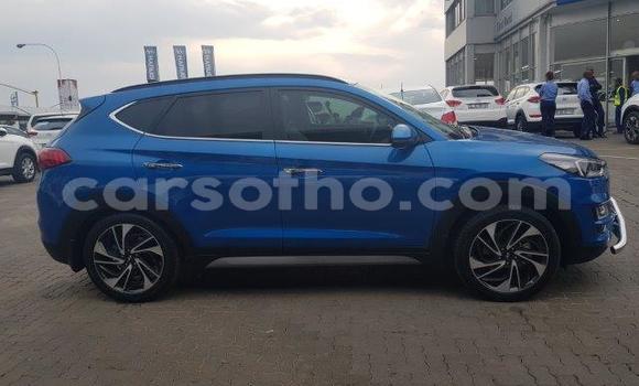 اشتري مستعمل Hyundai Tuscani Blue سيارة في Maseru في Maseru اشتري مستعمل Hyundai Tuscani Blue سيارة في Maseru في Maseru
