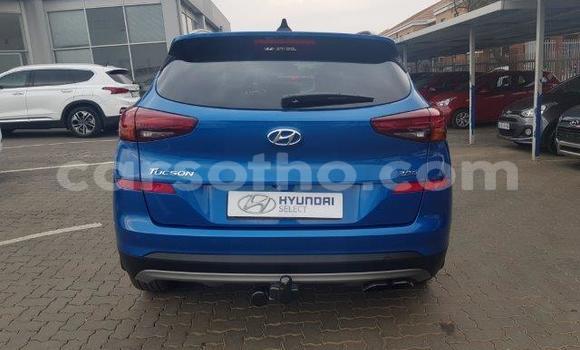 اشتري مستعمل Hyundai Tuscani Blue سيارة في Maseru في Maseru اشتري مستعمل Hyundai Tuscani Blue سيارة في Maseru في Maseru
