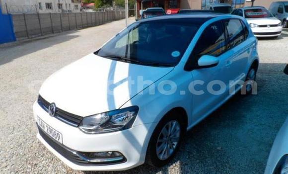 Acheter Occasion Voiture Volkswagen Polo Blanc à Hlotse, Leribe Acheter Occasion Voiture Volkswagen Polo Blanc à Hlotse, Leribe