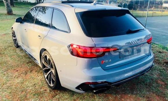 اشتري مستعمل Audi RS4 Other سيارة في Roma في Maseru اشتري مستعمل Audi RS4 Other سيارة في Roma في Maseru
