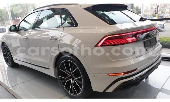 اشتري مستعمل Audi Q8 White سيارة في Maputsoe في Leribe اشتري مستعمل Audi Q8 White سيارة في Maputsoe في Leribe