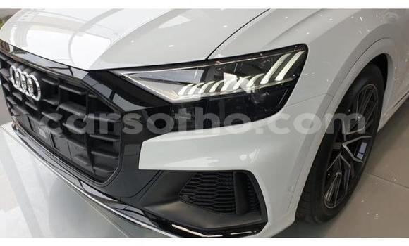 اشتري مستعمل Audi Q8 White سيارة في Maputsoe في Leribe اشتري مستعمل Audi Q8 White سيارة في Maputsoe في Leribe