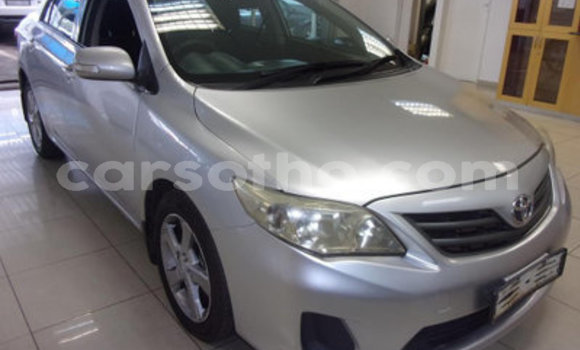Buy Used Toyota Corolla Other Car in Maputsoa in Leribe Buy Used Toyota Corolla Other Car in Maputsoa in Leribe