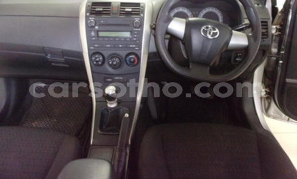 Buy Used Toyota Corolla Other Car in Maputsoa in Leribe Buy Used Toyota Corolla Other Car in Maputsoa in Leribe