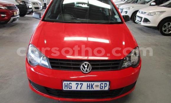 اشتري مستعمل Volkswagen Polo Red سيارة في Maseru في Maseru اشتري مستعمل Volkswagen Polo Red سيارة في Maseru في Maseru
