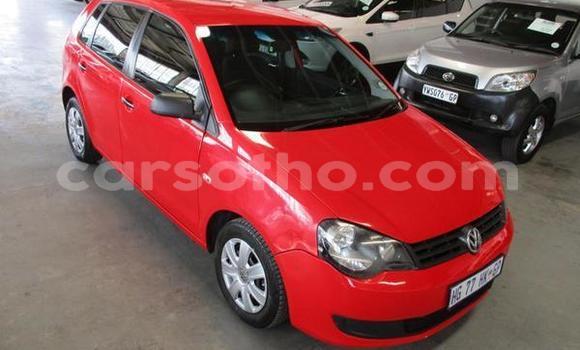 اشتري مستعمل Volkswagen Polo Red سيارة في Maseru في Maseru اشتري مستعمل Volkswagen Polo Red سيارة في Maseru في Maseru