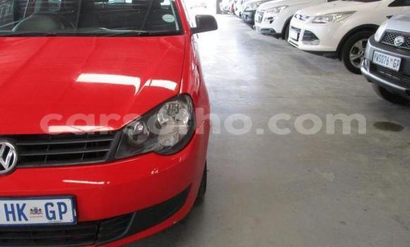 اشتري مستعمل Volkswagen Polo Red سيارة في Maseru في Maseru اشتري مستعمل Volkswagen Polo Red سيارة في Maseru في Maseru