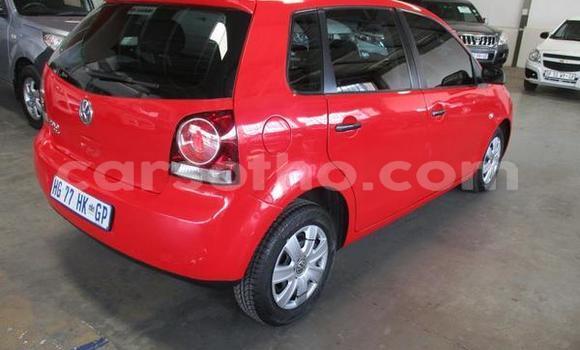 اشتري مستعمل Volkswagen Polo Red سيارة في Maseru في Maseru اشتري مستعمل Volkswagen Polo Red سيارة في Maseru في Maseru