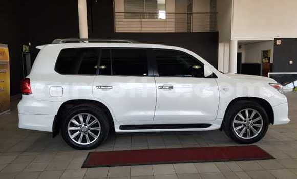 Sayi Na hannu Lexus LX 570 White Mota in Maseru a Maseru Sayi Na hannu Lexus LX 570 White Mota in Maseru a Maseru