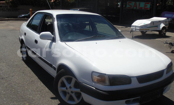 Buy Used Toyota Corolla White Car in Maputsoa in Leribe Buy Used Toyota Corolla White Car in Maputsoa in Leribe