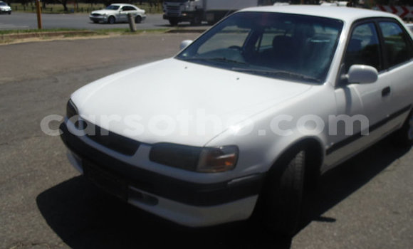 Buy Used Toyota Corolla White Car in Maputsoa in Leribe Buy Used Toyota Corolla White Car in Maputsoa in Leribe