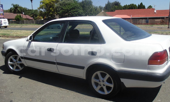 Buy Used Toyota Corolla White Car in Maputsoa in Leribe Buy Used Toyota Corolla White Car in Maputsoa in Leribe