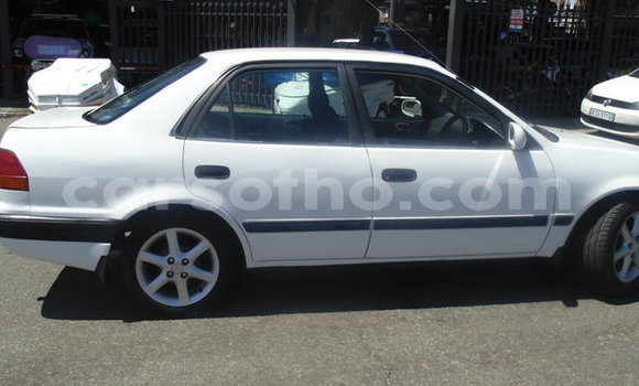 Buy Used Toyota Corolla White Car in Maputsoa in Leribe Buy Used Toyota Corolla White Car in Maputsoa in Leribe