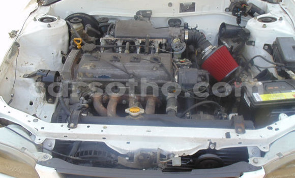 Buy Used Toyota Corolla White Car in Maputsoa in Leribe Buy Used Toyota Corolla White Car in Maputsoa in Leribe