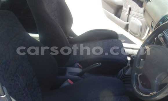 Buy Used Toyota Corolla White Car in Maputsoa in Leribe Buy Used Toyota Corolla White Car in Maputsoa in Leribe