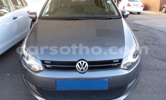 اشتري مستعمل Volkswagen Polo Blue سيارة في Mafeteng في Mafeteng اشتري مستعمل Volkswagen Polo Blue سيارة في Mafeteng في Mafeteng