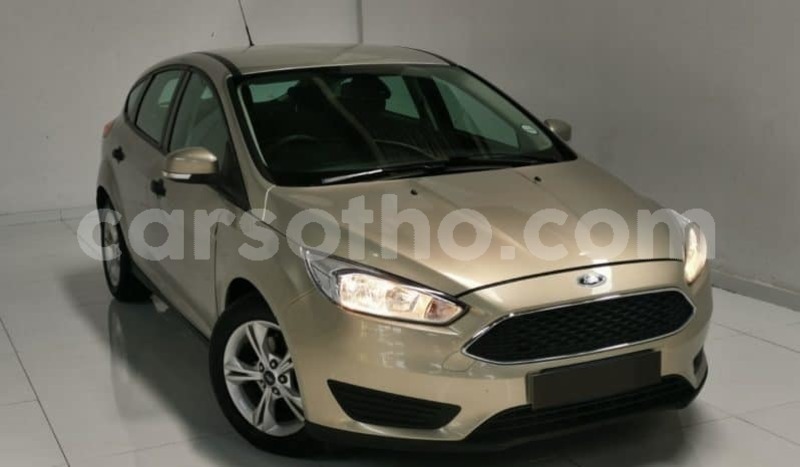 Big with watermark ford focus maseru maseru 12241